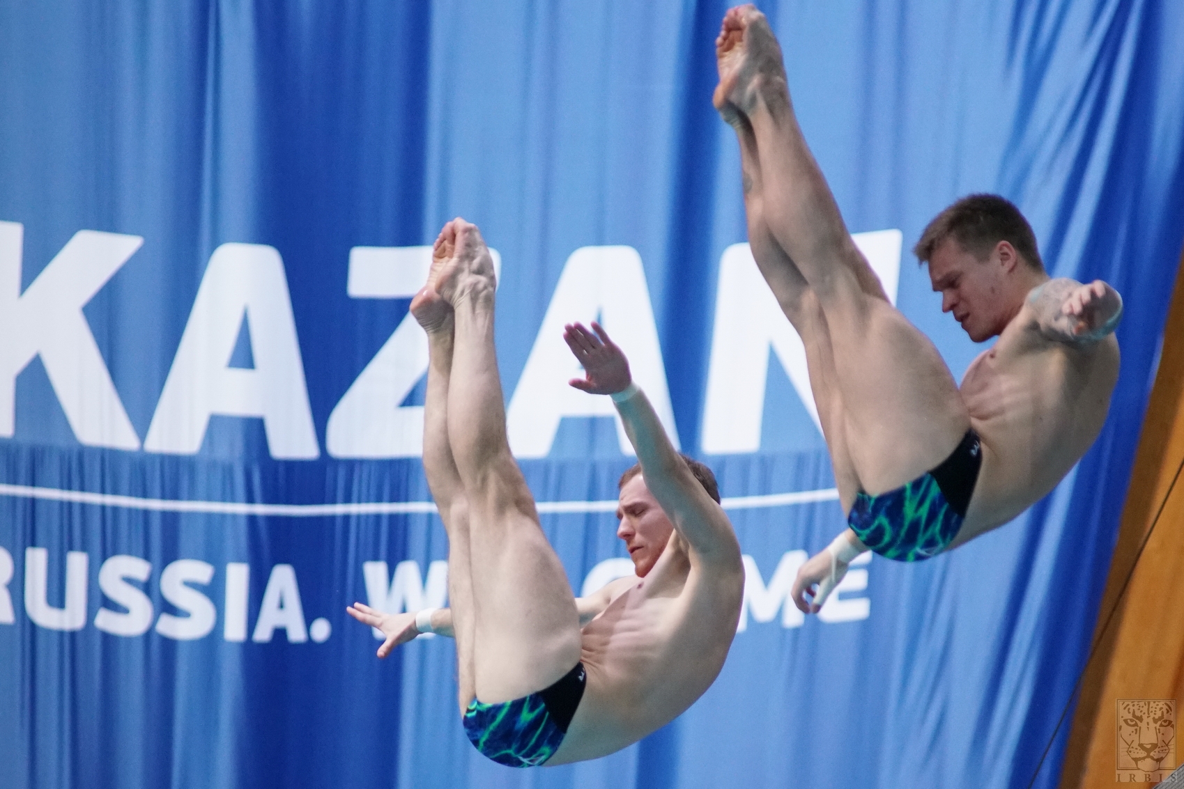 Мировые Чемпионаты по прыжкам в воду